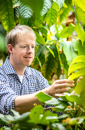 U. of I. plant biology professor James O’Dwyer, pictured, and graduate student Kenneth Jops developed a method for predicting whether pairs or groups of plants are likely to persist together in a habitat over time.