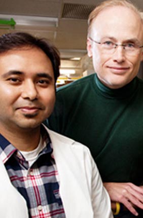 Microbiology professor Steven Blanke, right, doctoral student Prashant Jain, and a colleague at Purdue University found a mechanism linking Helicobacter pylori infection, impairment of the mitochondria and cell death.