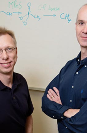 IGB faculty members Wilfred van der Donk and William Metcalf and colleagues discovered the origin of much of the methane in the oxygen-rich regions of the ocean.