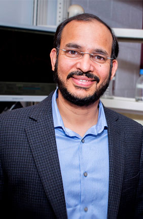 University of Illinois biochemistry professor Auinash Kalsotra