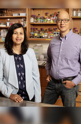 Comparative biosciences professor Aditi Das and veterinary clinical medicine professor Timothy Fan found that a class of molecules that form when the body metabolizes omega-3 fatty acids may prevent cancer from migrating.