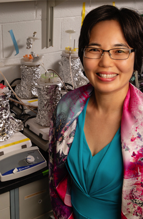 Civil and environmental engineering professor Helen Nguyen has found that water-softening additives may increase the risk of pathogen release into drinking water by weakening the grip that bacteria have on pipe interiors.