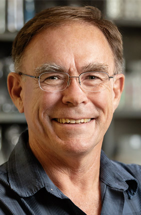 A new study from Illinois entomology professor Hugh Robertson and colleagues at the University of California, Davis reveals that all insects have odorant receptors that enable them to detect airborne chemicals.