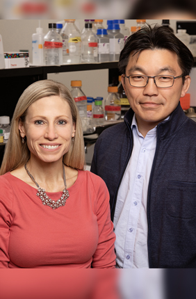 U. of I. kinesiology and community health professor Marni Boppart, chemical and biomolecular engineering professor Hyun Joon Kong and their colleagues discovered that injections of support cells known as pericytes can aid muscle regrowth after disuse atrophy. The study was conducted in mice.