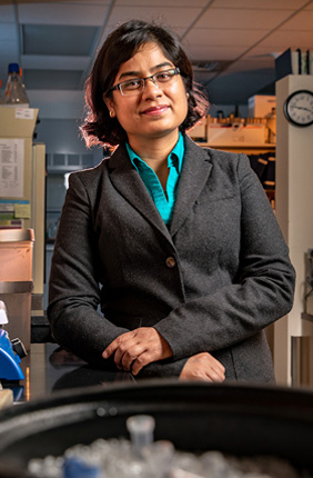 U. of I. postdoctoral researcher Preeti Sharma and her colleagues engineered a molecule that targets both human and mouse solid-tumor cancer cells.