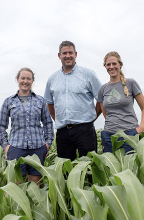 From left, Caitlin Moore, Carl Bernacchi, Katherine Meacham-Hensold and their colleagues review how rising temperatures affect photosynthesis in plants and how scientists are addressing the challenges.