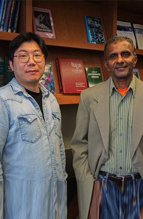 Yoon Jeong, left, and Joseph Irudayaraj have developed a new type of alginate hydrogel that can function as a bioreactor.