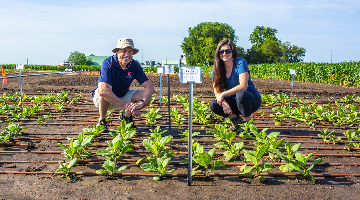 Coralie Salesse-Smith (right) and Steve Long have proven in a model crop that an increase in mesophyll conductance can be engineered, and that it leads to an increase in photosynthesis.