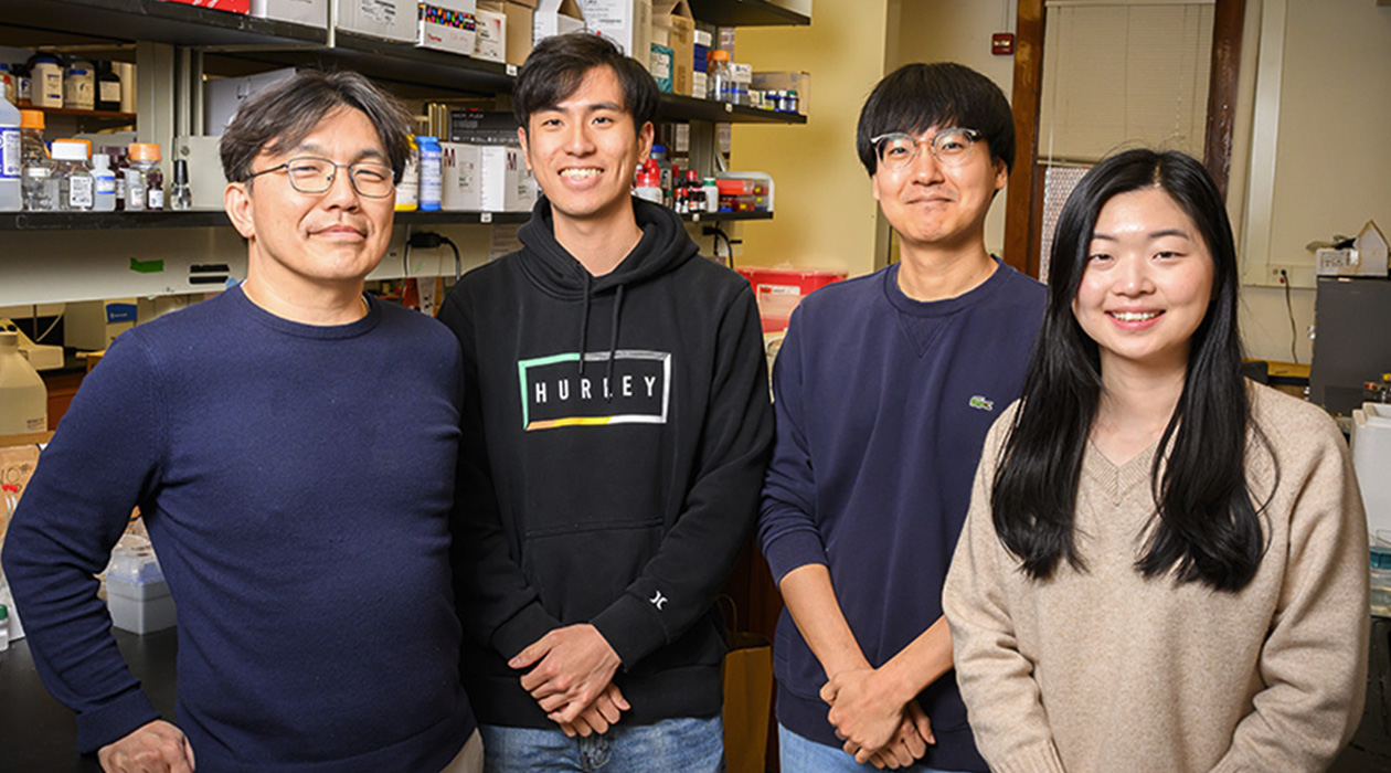 The researchers found that muscle with nerves released more of the brain-boosting factors than muscle without nerves. Pictured, from left: Professor Joon Kong and students Kai Yu Huang, Yujin An and Sehong Kang.