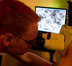 Visualizing Genomic Biology