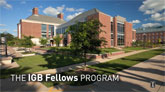 The IGB Fellows Program