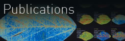 Publications
