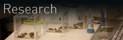 Research