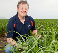Mapping the Miscanthus Genome