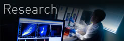 Research