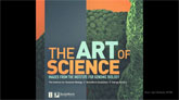 The Art of Science: Images from the Institute for Genomic Biology