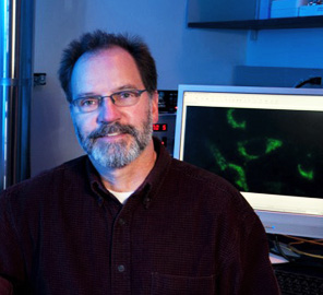 H. Rex Gaskins elected President-elect of the Society of Experimental Biology and Medicine