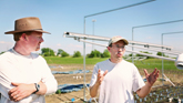 Improving Drought-Resistance of Biofuel Grasses