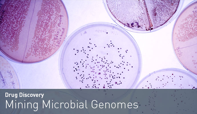 Mining Microbial Genomes