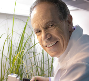 Gutgsell Endowed Professor of Crop Sciences and Plant Biology and IGB faculty member Stephen P. Long has been elected as a Fellow of the Royal Society of London, the world's oldest scientific academy in continuous existence.