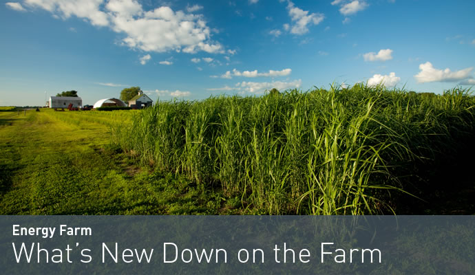 Energy Farm: What's New Down on the Farm