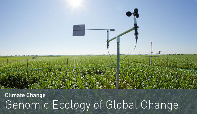 Climate Change: Genomic Ecology of Global Change
