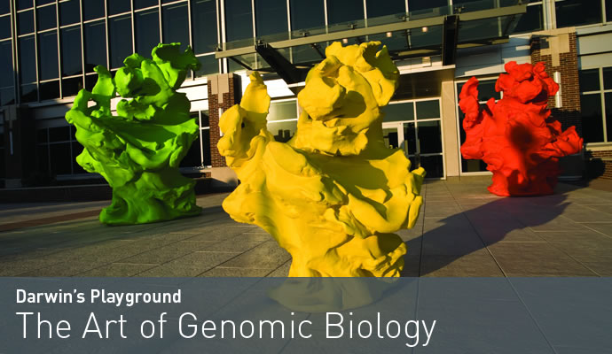 Darwin's Playground: The Art of Genomic Biology