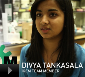 International Genetically Engineered Machine (iGEM) at Illinois