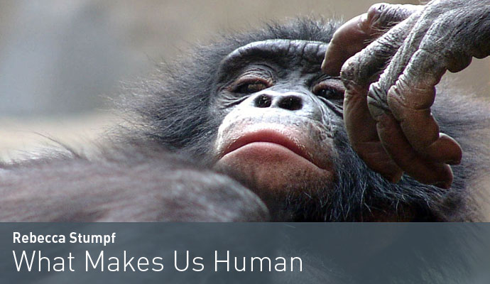 Rebecca Stumpf: What makes us human