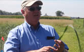 Tom Voigt on Prairie Cord Grass, A.K.A. "Rip Gut," at the Energy Farm