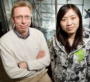 While working out the structure of a cell-killing protein produced by some strains of the bacterium Enterococcus faecalis, IGB member Wilfred van der Donk (L) with grad Weixin Tang (R) stumbled on a bit of unusual biochemistry. They found that a single enzyme helps form distinctly different, three-dimensional ring structures in the protein, one of which had never been observed before.