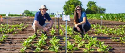 Coralie Salesse-Smith (right) and Steve Long have proven in a model crop that an increase in mesophyll conductance can be engineered, and that it leads to an increase in photosynthesis.