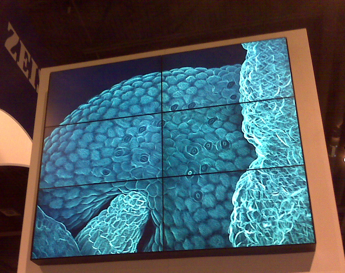 Four images from the Core were displayed at Cell Biology Conference