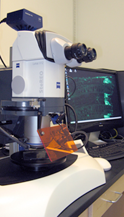 Photo of StereoMicroscope.