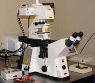 Photo of Zeiss 710 multiphoton confocal.
