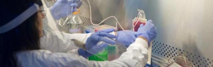 Photo of scientist working in lab.
