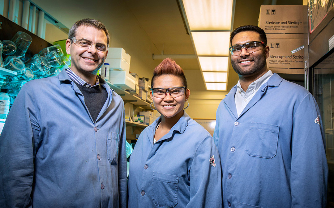The Illinois team specializes in molecular prosthetics, small molecules that could do the job of missing or deficient proteins. Pictured: Professor Martin Burke and graduate students Katrina Muraglia and Rajeev Chorghade.