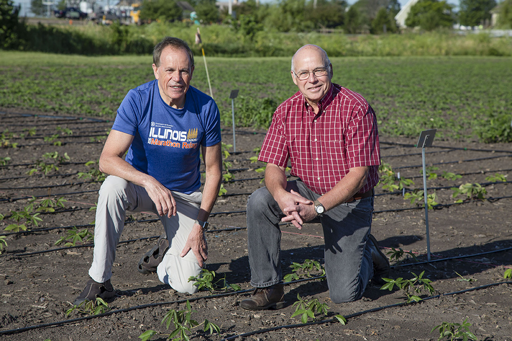 Researchers led by Stephen Long (left) and Don Ort (right) will continue transformative work to increase yields of food crops for farmers worldwide through Realizing Increased Photosynthetic Efficiency with the support of a five–year, $45-million reinvestment from the Bill & Melinda Gates Foundation , the Foundation for Food and Agriculture Research, and the U.K. Department for International Development. 