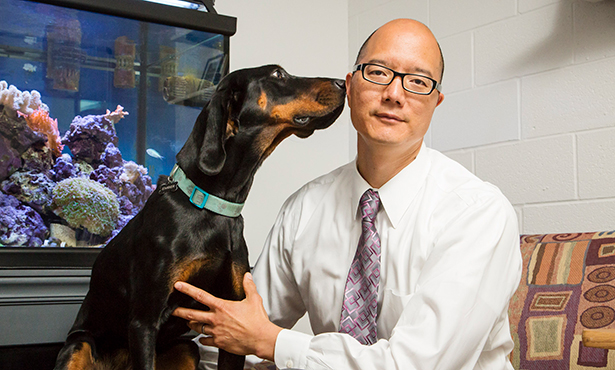 Tim Fan, professor of veterinary medical science, is collaborating with former Illinois faculty member Dane Wittrup on an innovative cancer immunotherapy research project with client-owned pet dogs that have soft-tissue sarcoma