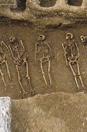 Skeletons uncovered in the Black Death Cemetery of East Smithfield, London. (Klunk et al., Nature, 2022/MOLA)