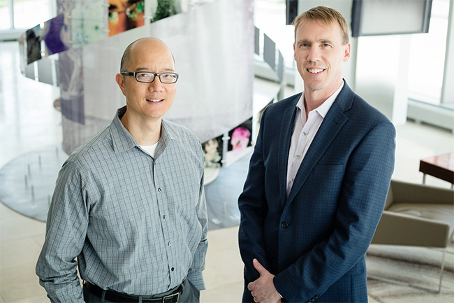 Chemistry professor Paul Hergenrother, right, and veterinary clinical medicine professor Timothy Fan tested an anti-cancer compound in pet dogs that is now being used in human clinical trials.