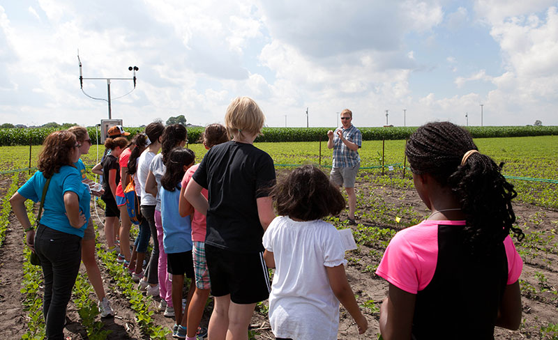 Field trips for the camp included an excursion to SoyFACE, the Soybean Free Air Concentration Enrichment facility located on the South Farms.