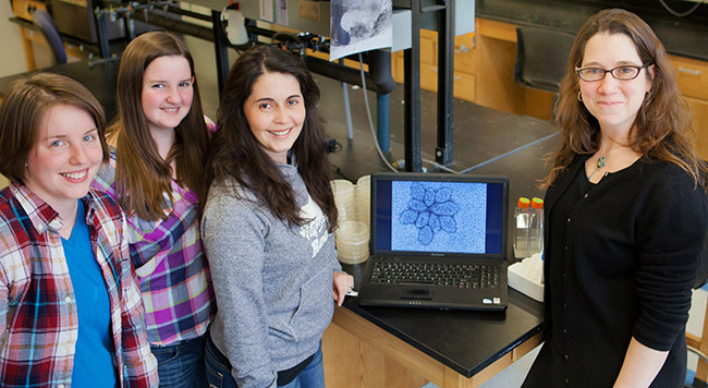 Left to right: Researchers Elizabeth Rowland, Samantha Dewerff, and María Bautista with Associate Professor of Microbiology Rachel Whitaker. 