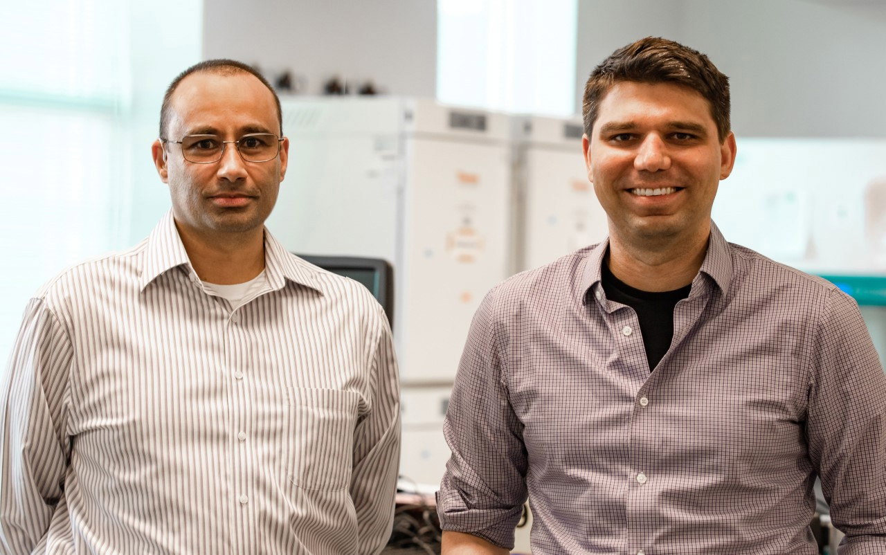From left, University of Illinois bioengineering professors Pablo Perez-Pinera and Thomas Gaj. 