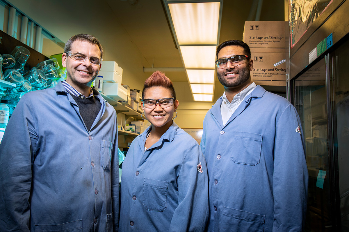 The Illinois team specializes in molecular prosthetics, small molecules that could do the job of missing or deficient proteins. Pictured: Professor Martin Burke and graduate students Katrina Muraglia and Rajeev Chorghade.