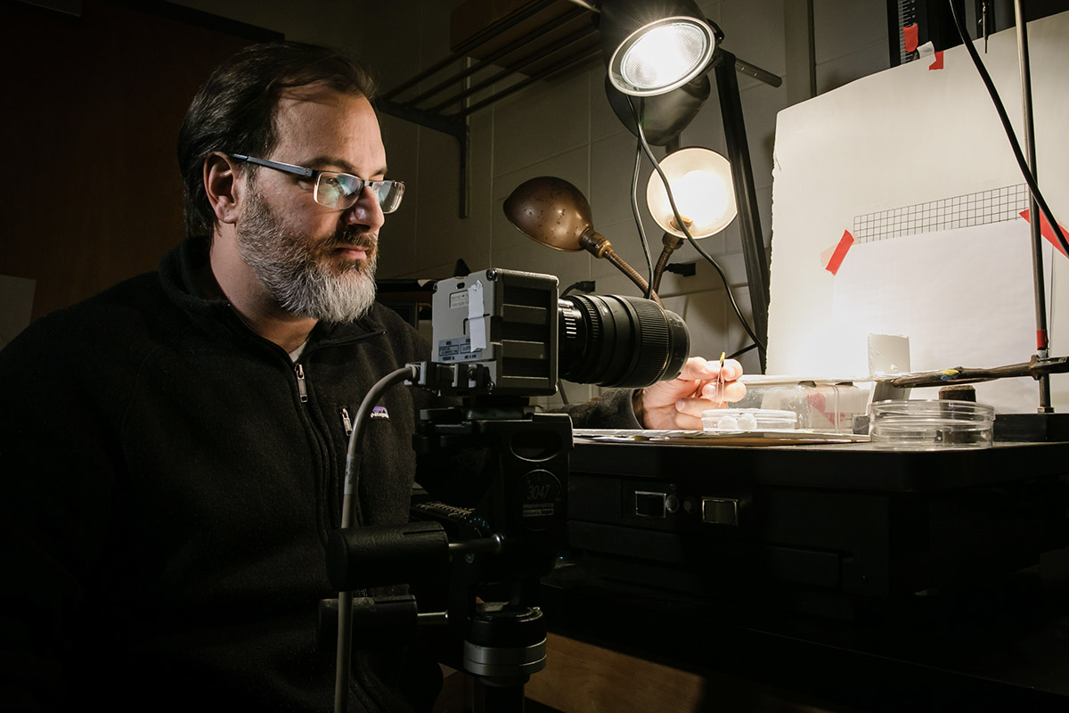 Entomology and animal biology professor Andrew Suarez and his colleagues studied the speed and mechanical characteristics of the Dracula ant.