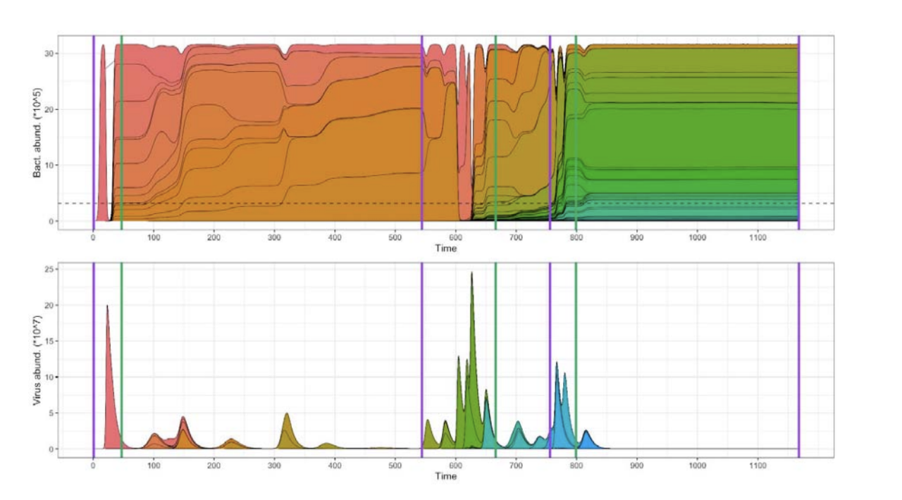 An example of typical dynamics with regime shifts. Purple lines indicate the start of VDRs while green lines indicate the start of HCRs. Top: Abundance profiles of hosts. Bottom: Abundance profiles of viruses. 