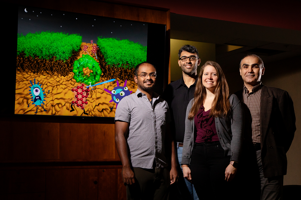 The research team, including, from left, Nandan Haloi, Archit Kumar Vasan, Emily Geddes and Emad Tajkhorshid, invented and tested a new method for determining how chemical compounds interact with proteins in cells. Their approach offers atomic-level insight into the chemical properties that allow some antibiotics to pass through pores in the cell membranes of Gram-negative bacteria.