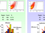 scientific illustration