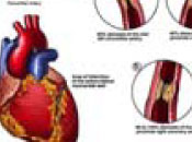 scientific illustration